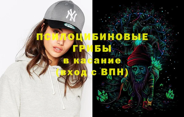 мяу мяу мука Осинники