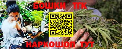 сатива Лесосибирск