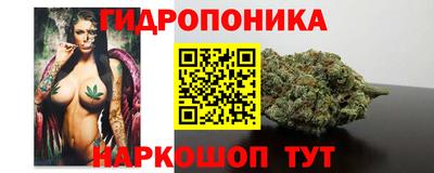 сатива Лесосибирск