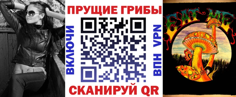 KRAKEN tor  Каменск-Уральский  Галлюциногенные грибы прущие грибы 