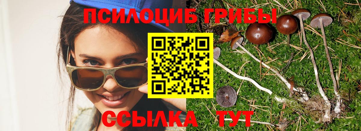 Псилоцибиновые грибы Magic Shrooms  Галлюциногенные грибы мицелий  Вход с VPN  Каменск-Уральский 