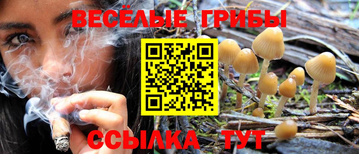 Псилоцибиновые грибы Psilocybine cubensis Каменск-Уральский