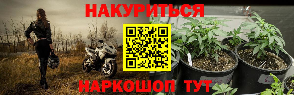 Бошки Шишки White Widow  Канабис конопля  Бошки Шишки план  Каменск-Уральский  Вход с VPN 